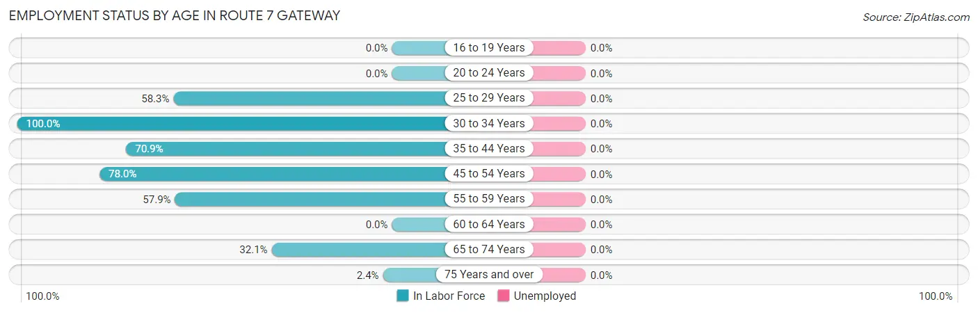 Employment Status by Age in Route 7 Gateway