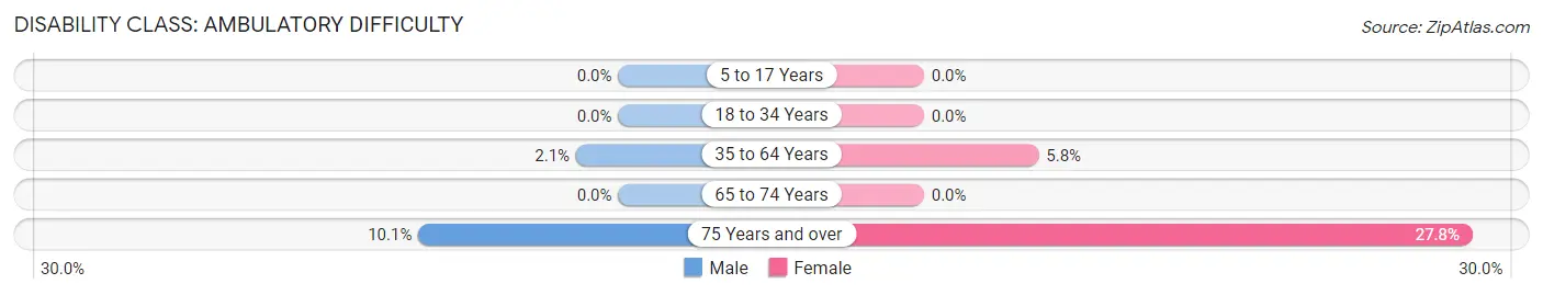 Disability in Salmon Brook: <span>Ambulatory Difficulty</span>