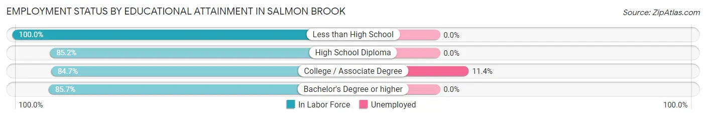 Employment Status by Educational Attainment in Salmon Brook