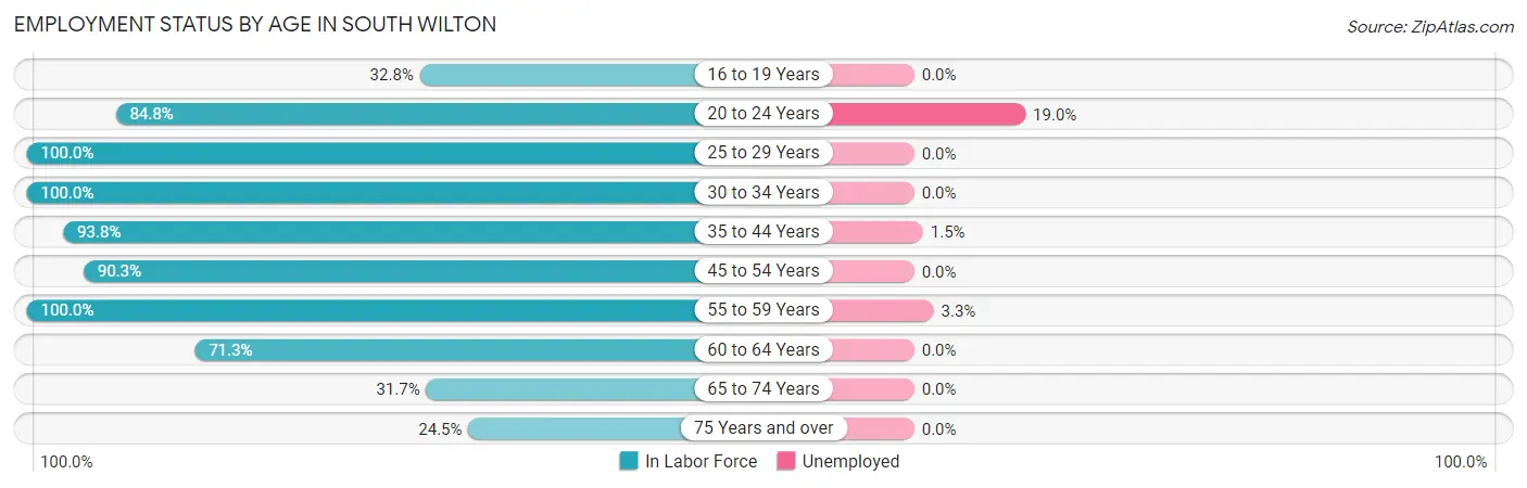 Employment Status by Age in South Wilton