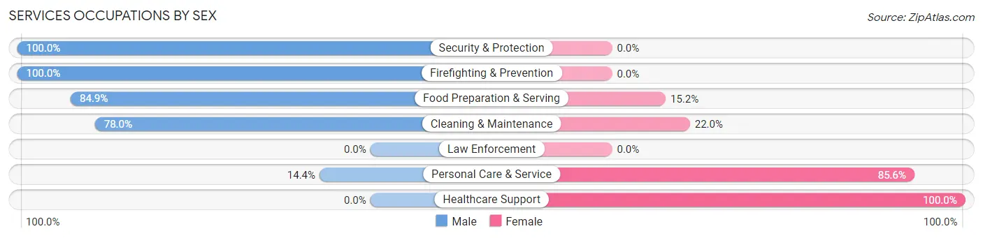 Services Occupations by Sex in Stafford Springs