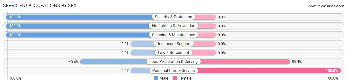 Services Occupations by Sex in Stonington borough