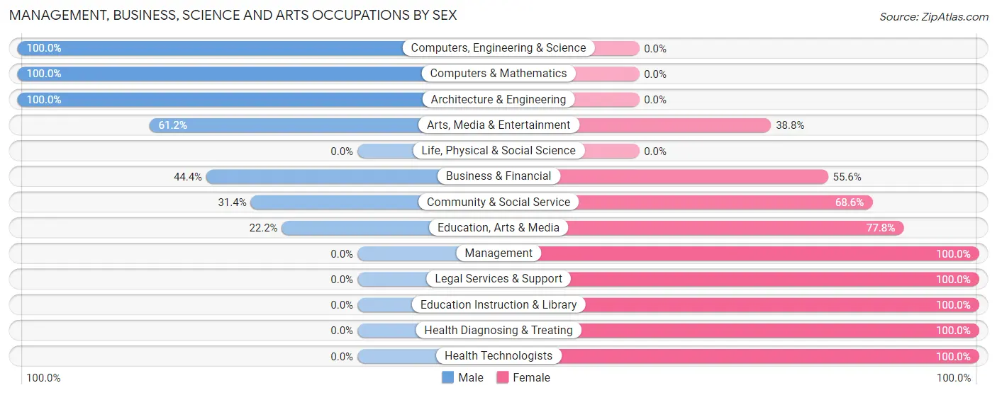 Management, Business, Science and Arts Occupations by Sex in Stratford Downtown