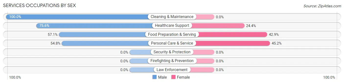 Services Occupations by Sex in Stratford Downtown
