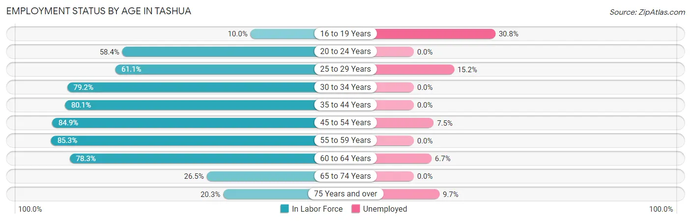 Employment Status by Age in Tashua
