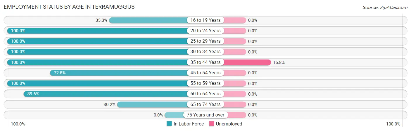 Employment Status by Age in Terramuggus