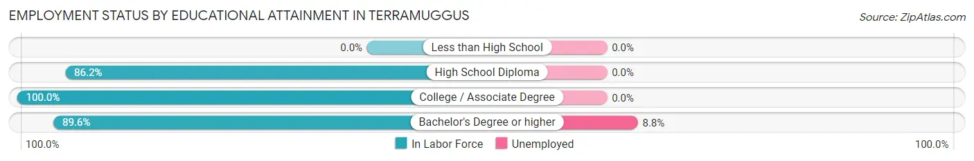 Employment Status by Educational Attainment in Terramuggus
