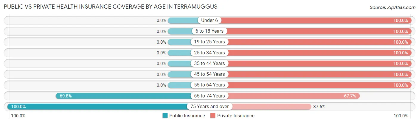 Public vs Private Health Insurance Coverage by Age in Terramuggus