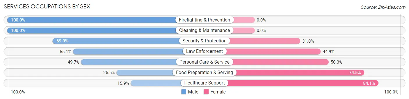 Services Occupations by Sex in Terryville