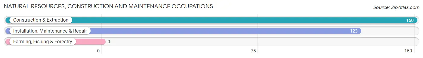 Natural Resources, Construction and Maintenance Occupations in Trumbull Center