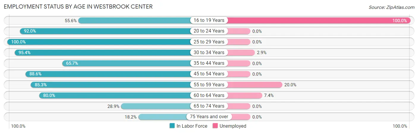 Employment Status by Age in Westbrook Center