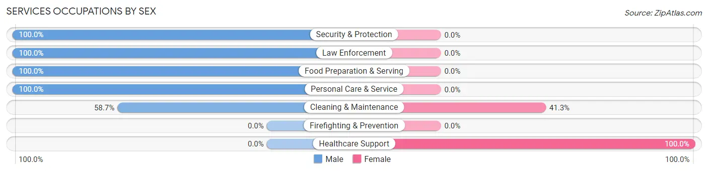 Services Occupations by Sex in Westbrook Center