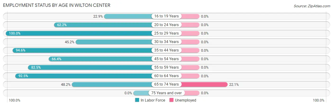 Employment Status by Age in Wilton Center
