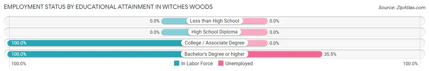 Employment Status by Educational Attainment in Witches Woods