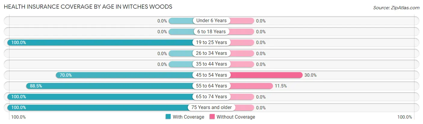 Health Insurance Coverage by Age in Witches Woods