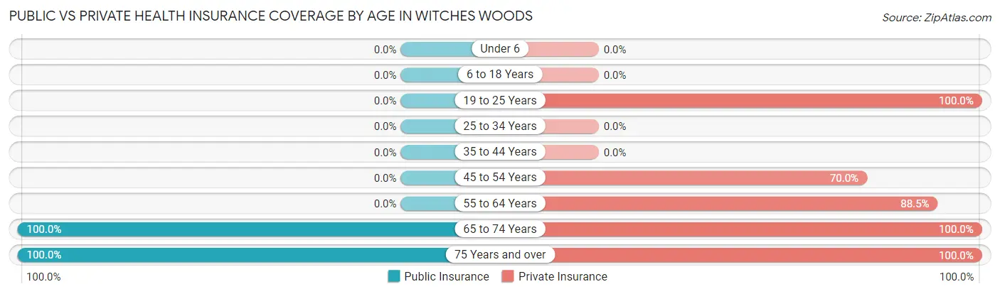Public vs Private Health Insurance Coverage by Age in Witches Woods