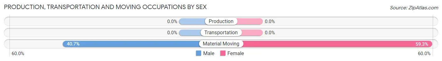 Production, Transportation and Moving Occupations by Sex in Woodbury Center