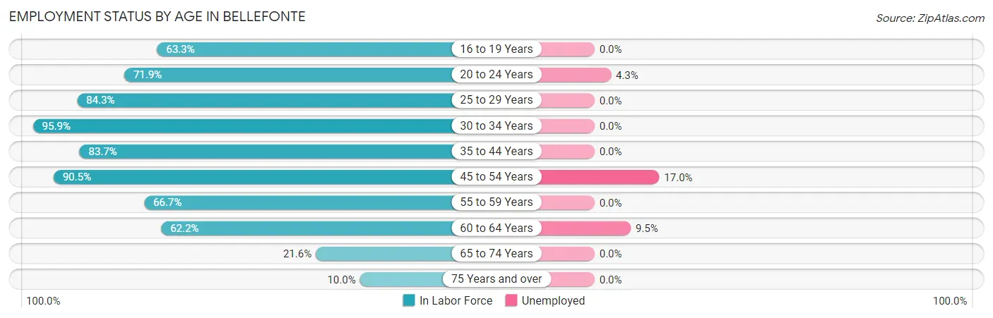 Employment Status by Age in Bellefonte