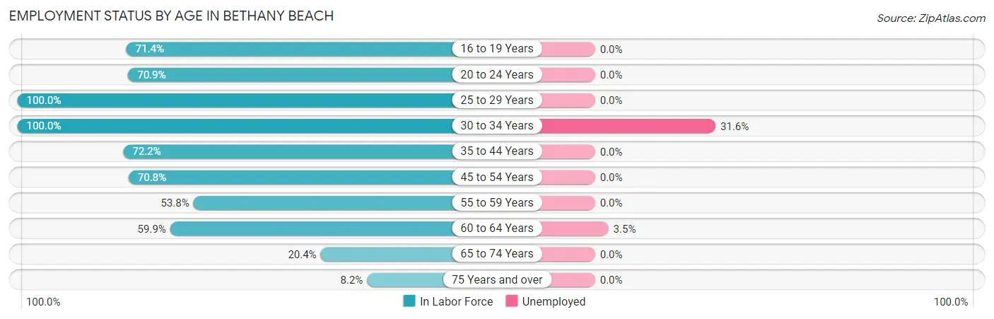 Employment Status by Age in Bethany Beach