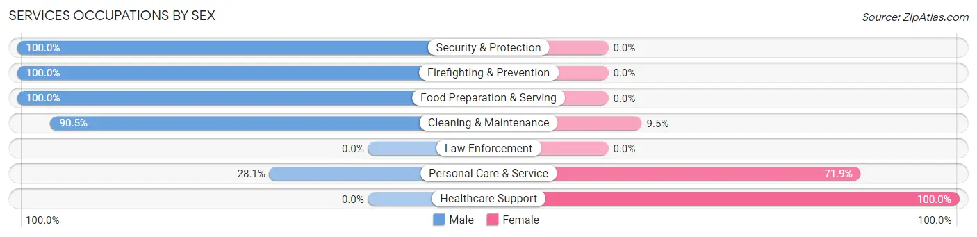Services Occupations by Sex in Blades
