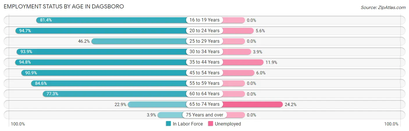 Employment Status by Age in Dagsboro