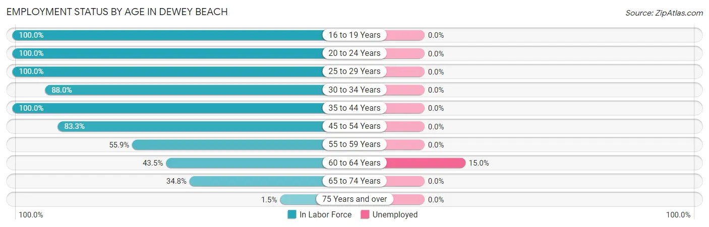 Employment Status by Age in Dewey Beach