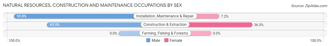 Natural Resources, Construction and Maintenance Occupations by Sex in Dover