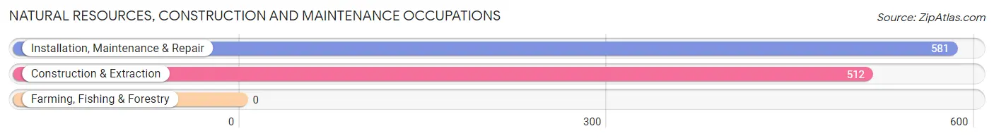 Natural Resources, Construction and Maintenance Occupations in Dover