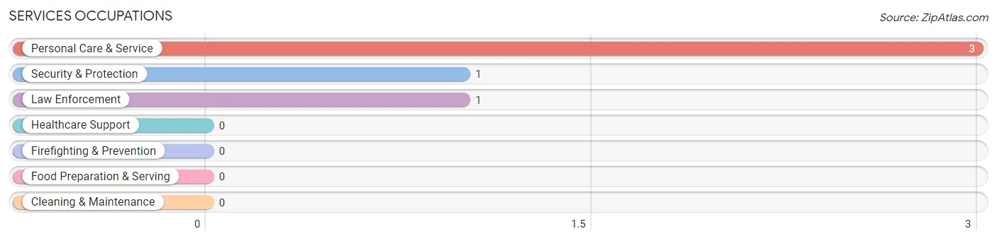 Services Occupations in Farmington