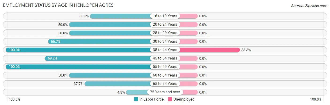 Employment Status by Age in Henlopen Acres