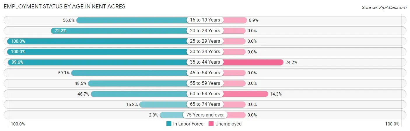 Employment Status by Age in Kent Acres