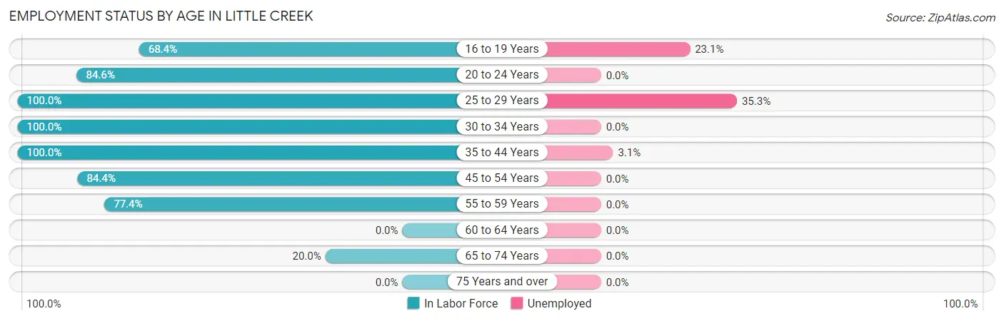 Employment Status by Age in Little Creek