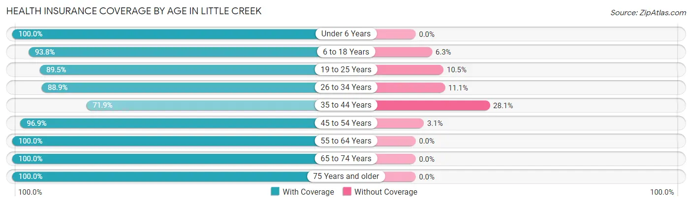 Health Insurance Coverage by Age in Little Creek