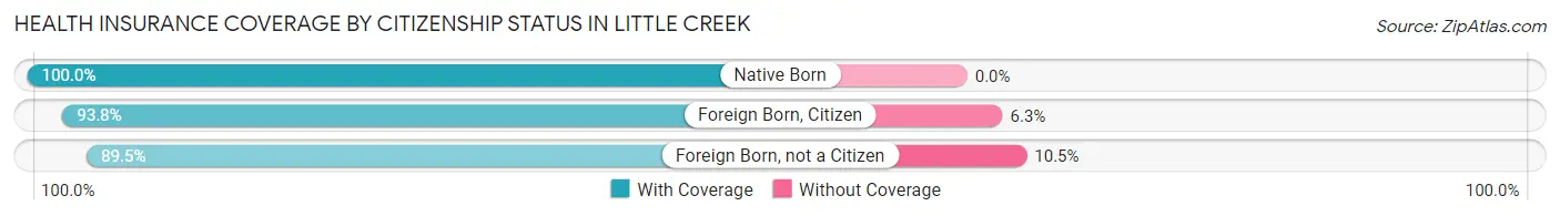 Health Insurance Coverage by Citizenship Status in Little Creek