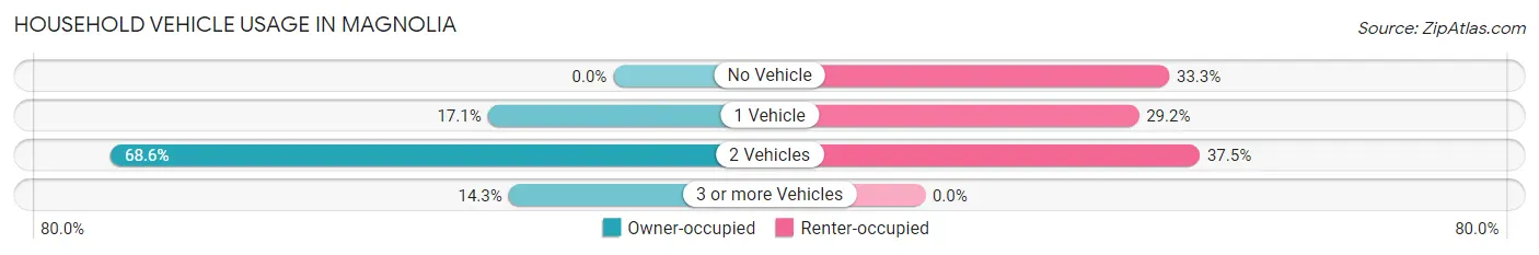 Household Vehicle Usage in Magnolia