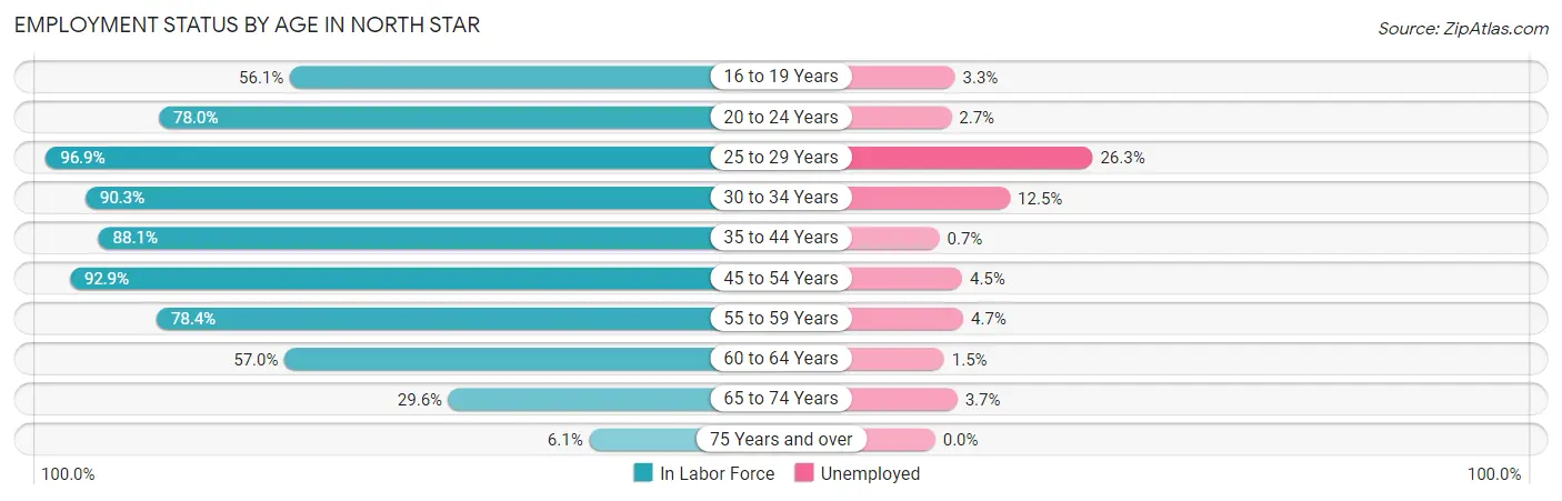 Employment Status by Age in North Star