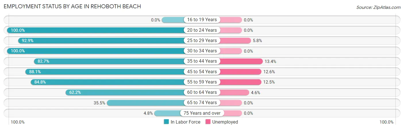 Employment Status by Age in Rehoboth Beach