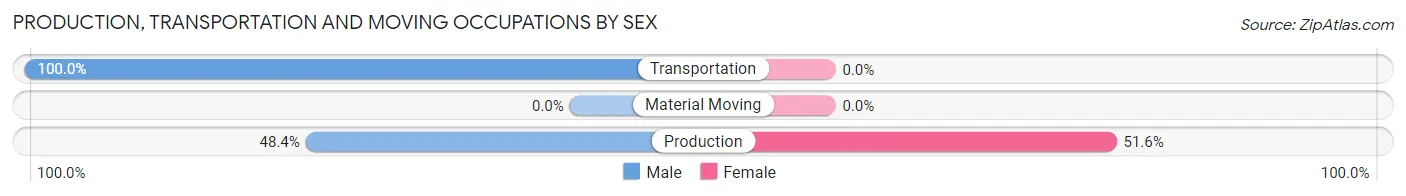 Production, Transportation and Moving Occupations by Sex in Rodney Village