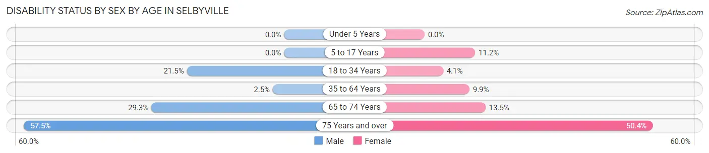 Disability Status by Sex by Age in Selbyville