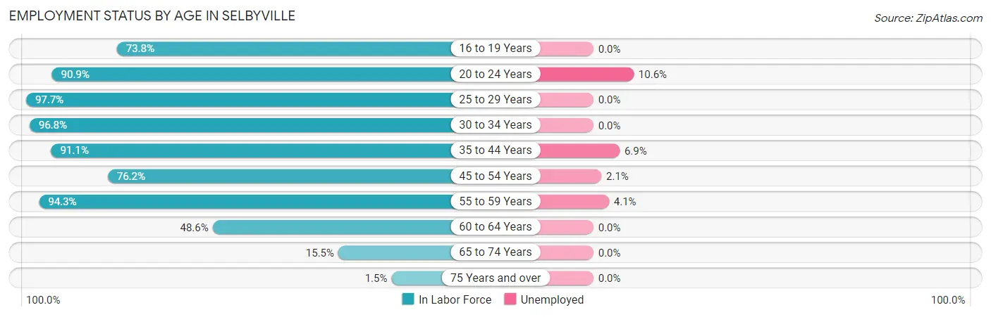 Employment Status by Age in Selbyville