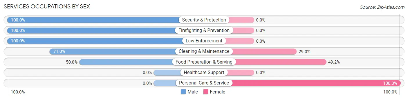 Services Occupations by Sex in Selbyville