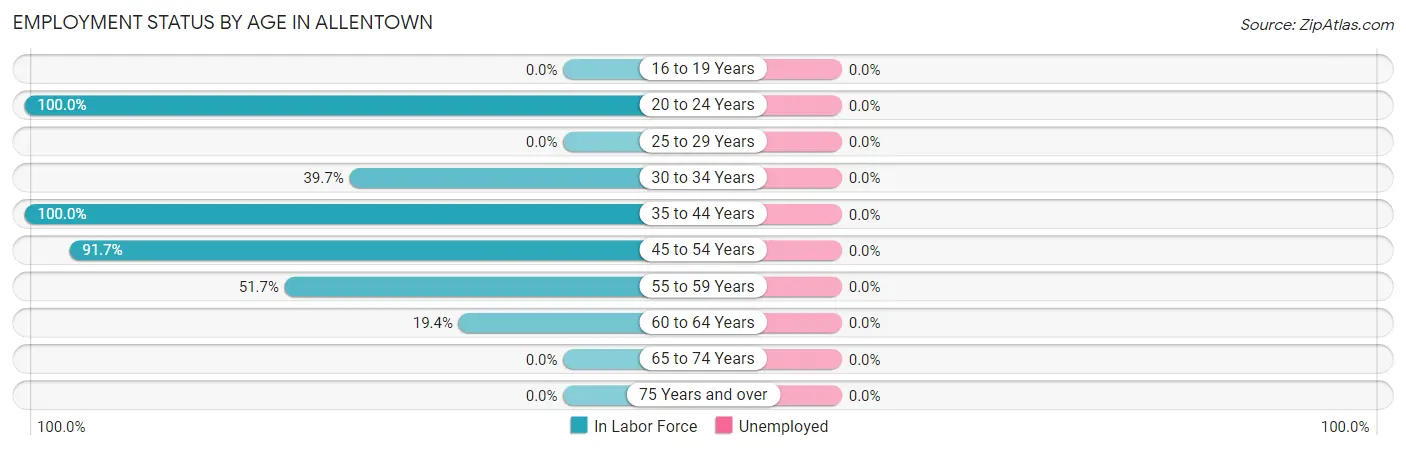 Employment Status by Age in Allentown