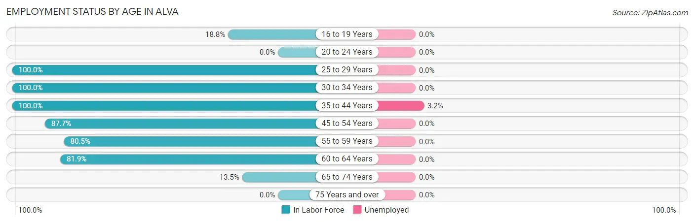 Employment Status by Age in Alva
