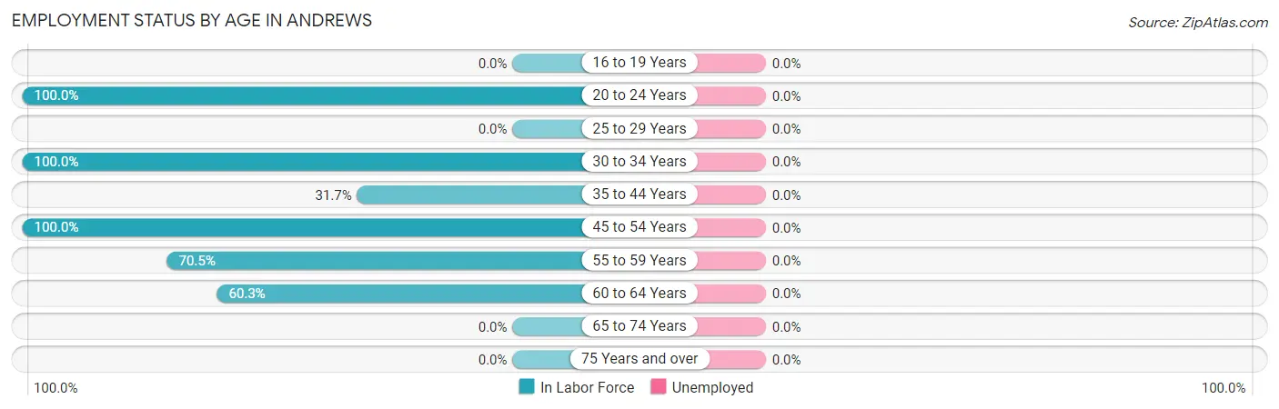 Employment Status by Age in Andrews