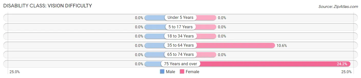 Disability in Archer: <span>Vision Difficulty</span>