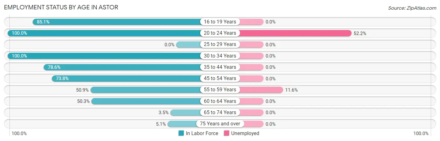 Employment Status by Age in Astor