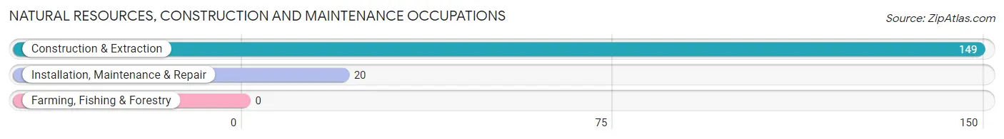 Natural Resources, Construction and Maintenance Occupations in Astor