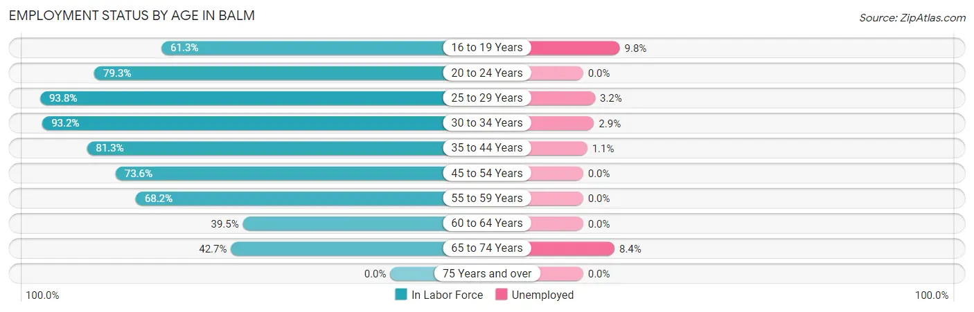 Employment Status by Age in Balm