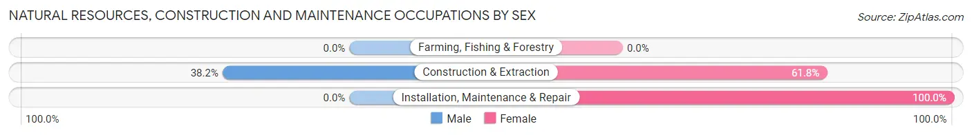Natural Resources, Construction and Maintenance Occupations by Sex in Bay Harbor Islands