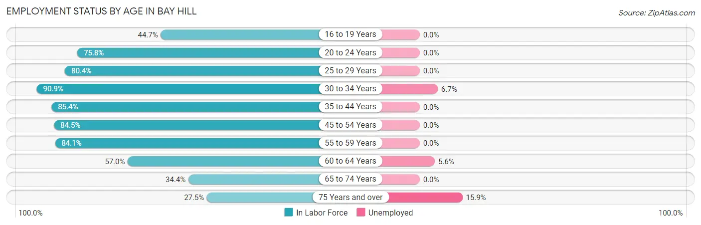Employment Status by Age in Bay Hill